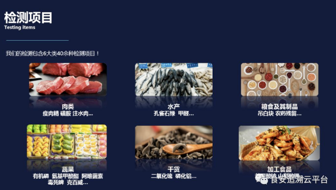 食品安全检测项目