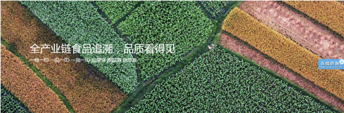追溯云,链接信任